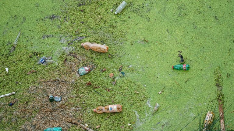 Lars H Knudsen/Pexels