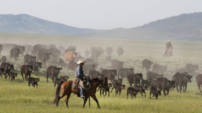 carolhighsmith/Unsplash