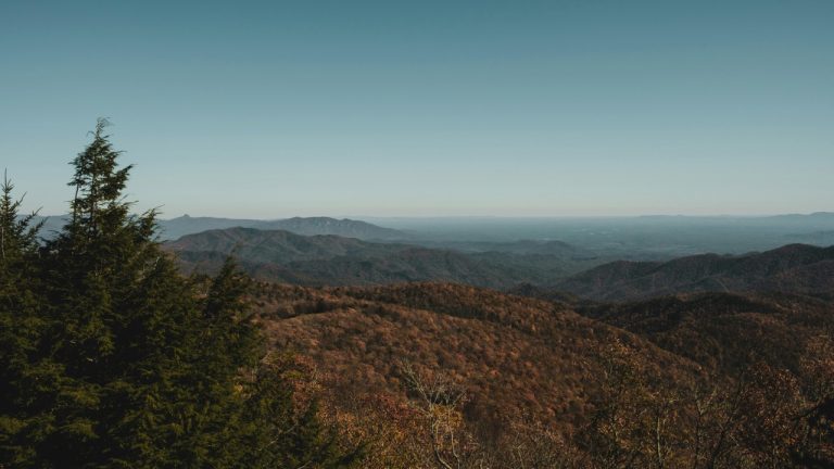 Airam Dato-on/Pexels