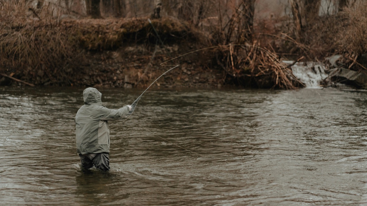 claybanks/Unsplash