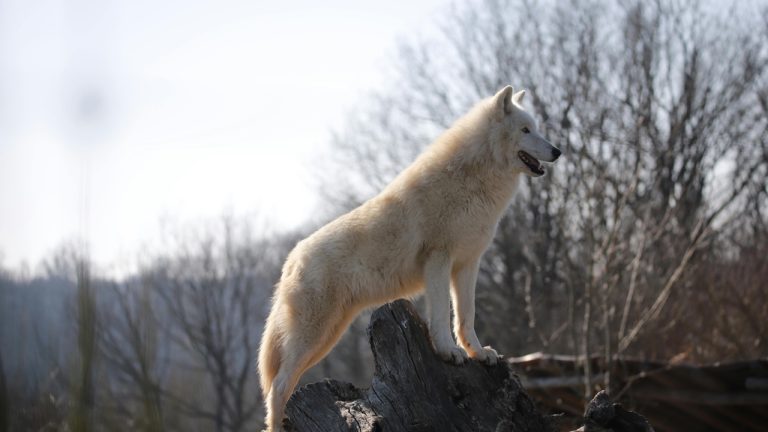 Catherine Leclert/Pexels