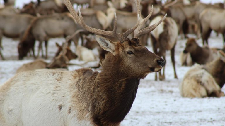 Katie Burandt/Pexels