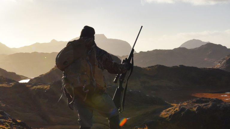 Image Credit: Paxson Woelber - CC BY 2.0/Wiki Commons