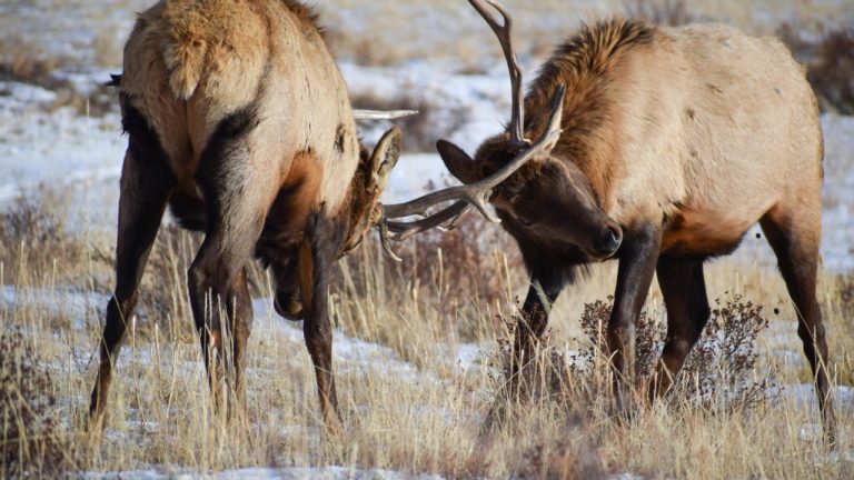 Mike Farrington/Pexels