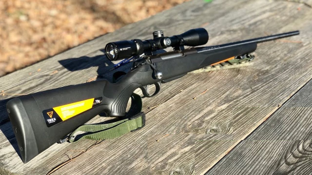 TheSouthernsurvivor/YouTube
