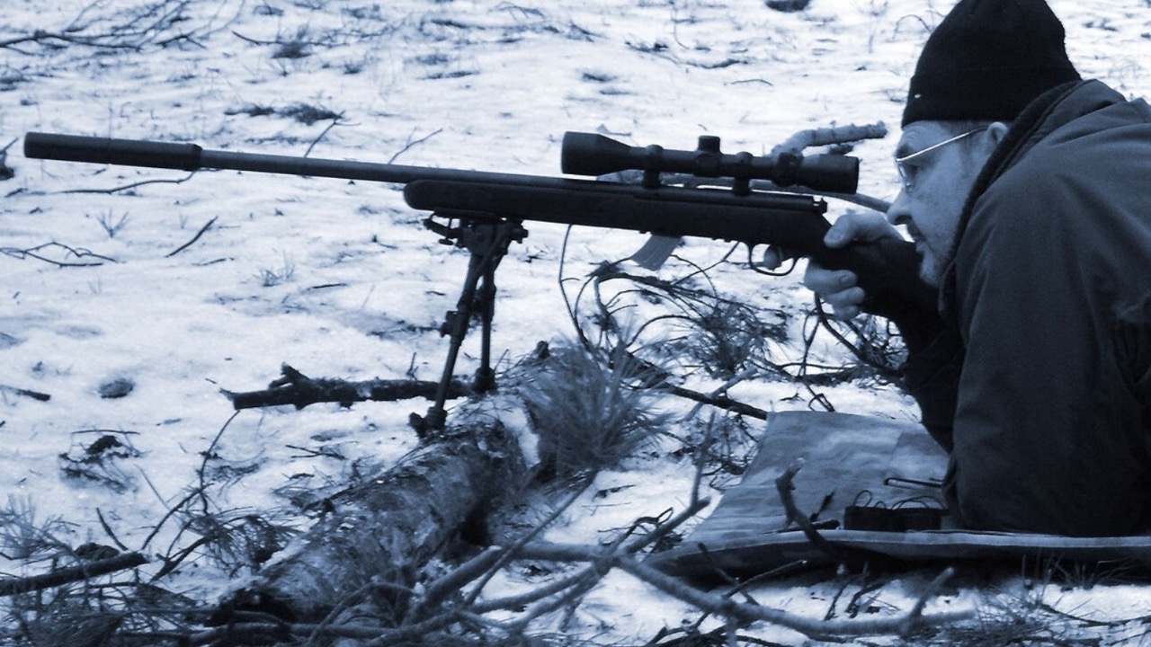 Sergey Kamshylin/Shutterstock.com