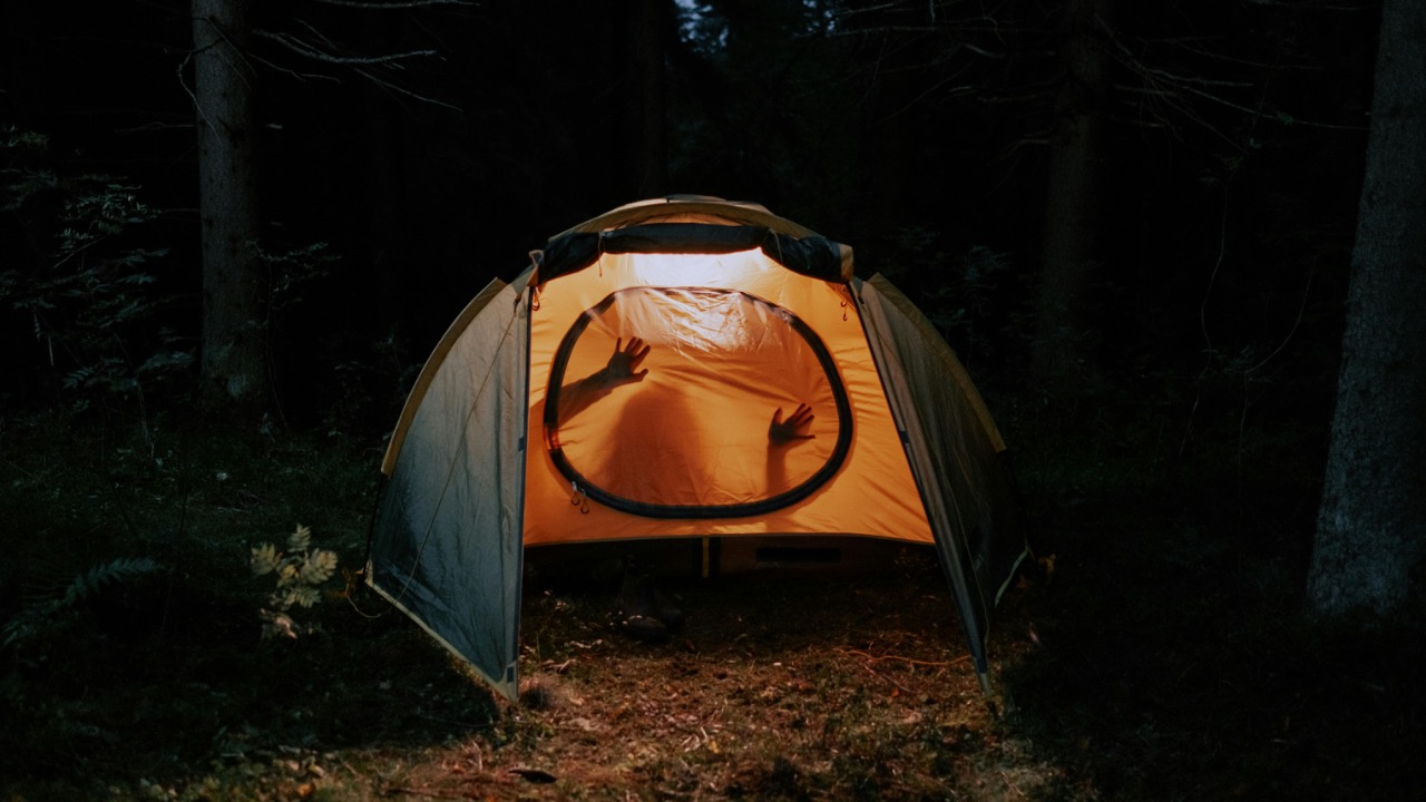 cottonbro studio/Pexels