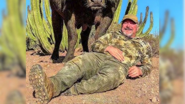 Tragic Turn in the Brush: Texas Rancher Asher Watkins Killed by Charging Cape Buffalo During Dream Trophy Hunt