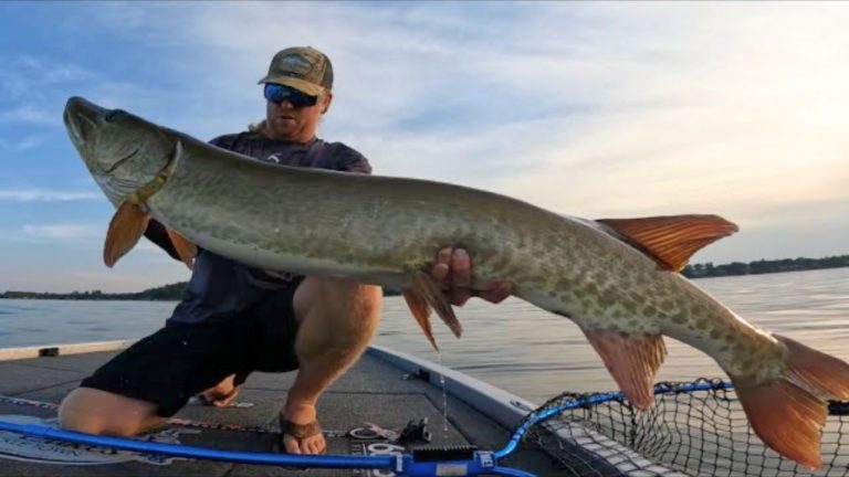 Giant muskie caught after long fight shocks anglers