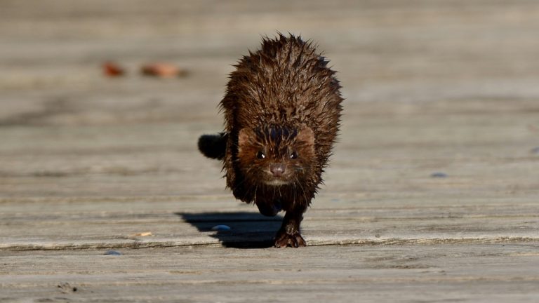 alex_makarov/Unsplash