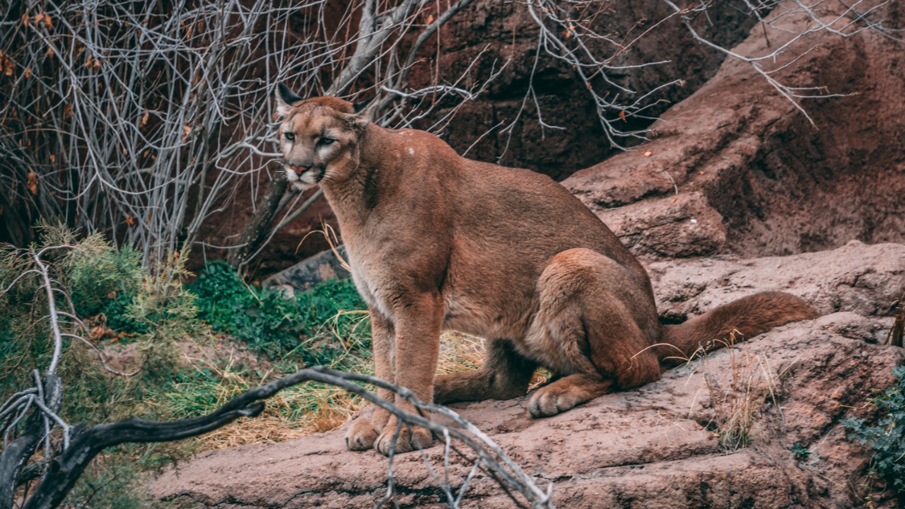 ian_w/Unsplash