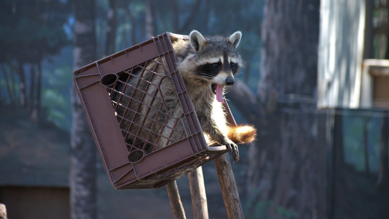 Thomas Shockey/Pexels