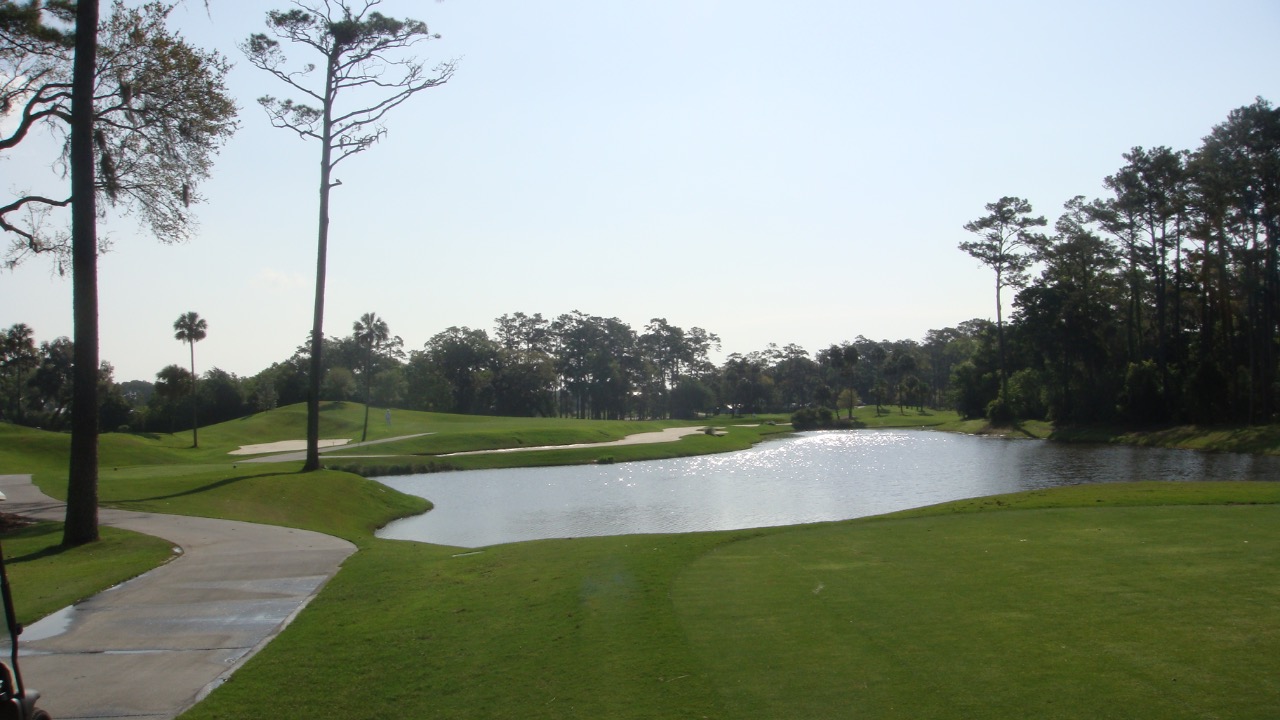 Image Credit: Philip Larson from McLean, VA, US - CC BY-SA 2.0/Wiki Commons