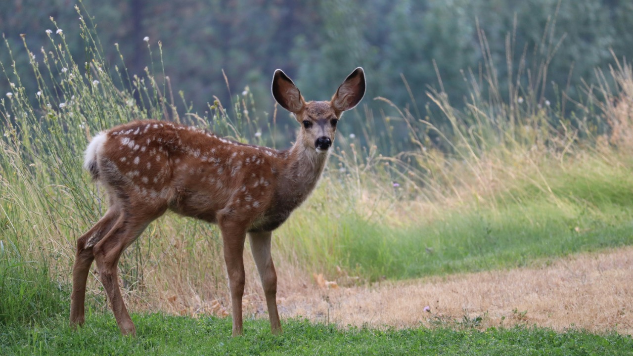 divide_by_zero/Unsplash