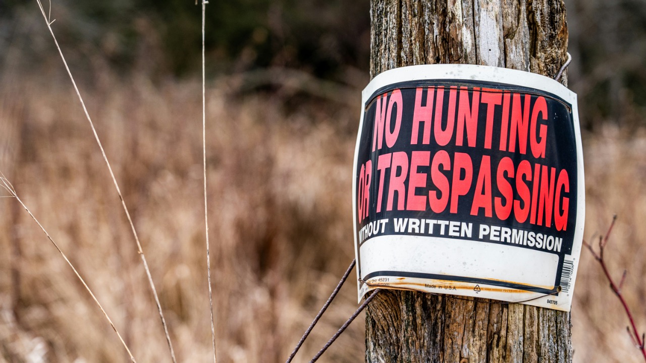 chris_robert/Unsplash