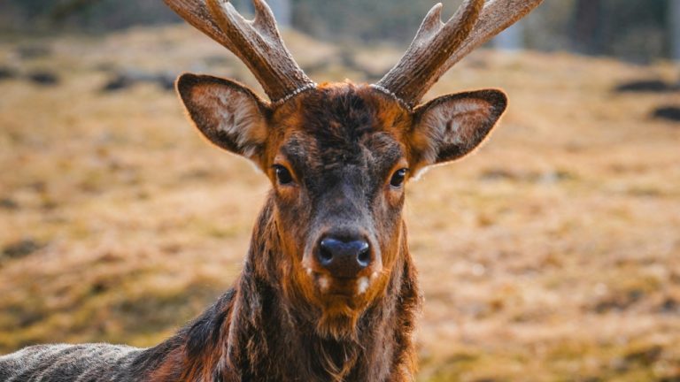 zm_fotographie/Unsplash