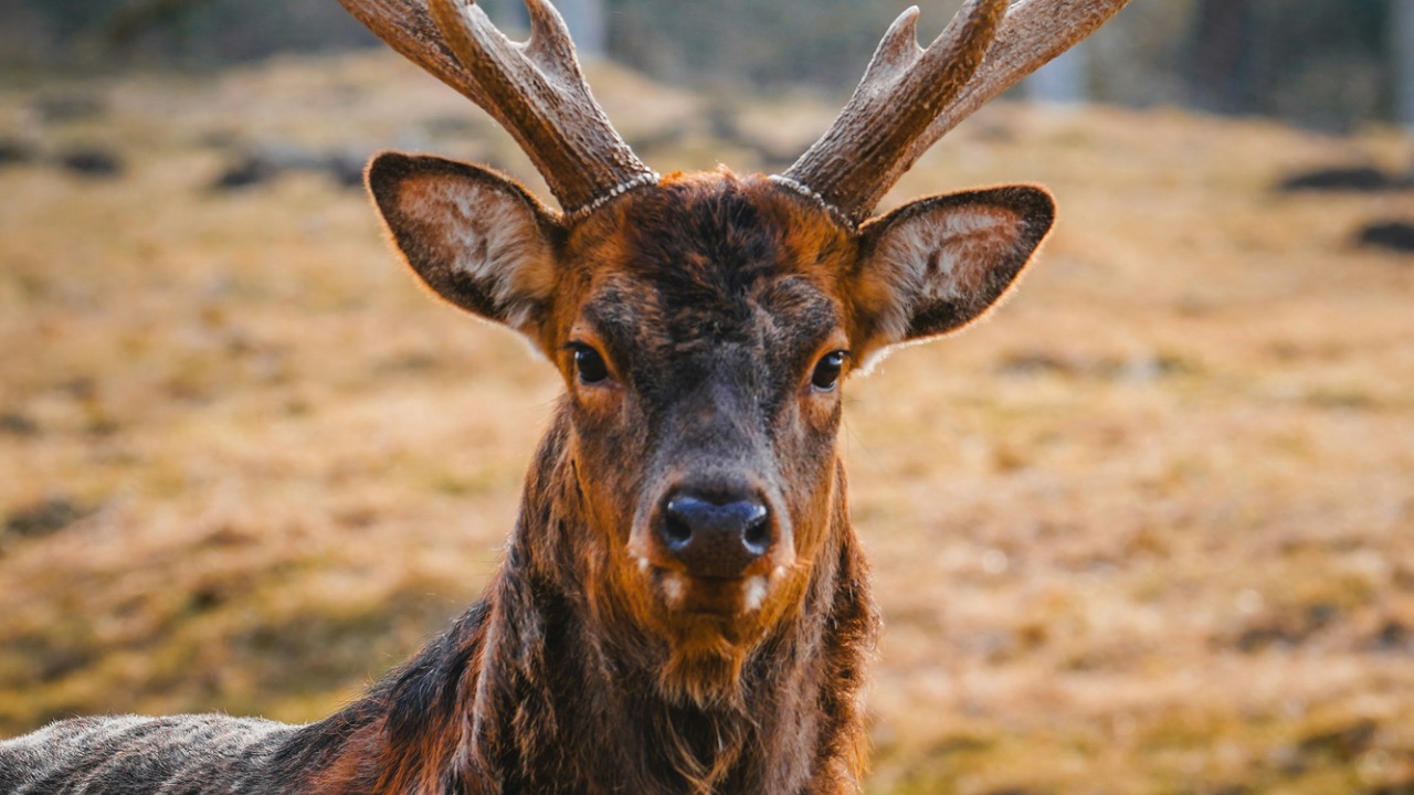 zm_fotographie/Unsplash