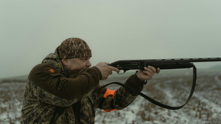 Tima Miroshnichenko/Pexels