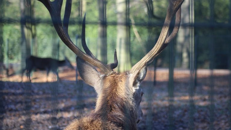 perryagerbeek/Unsplash