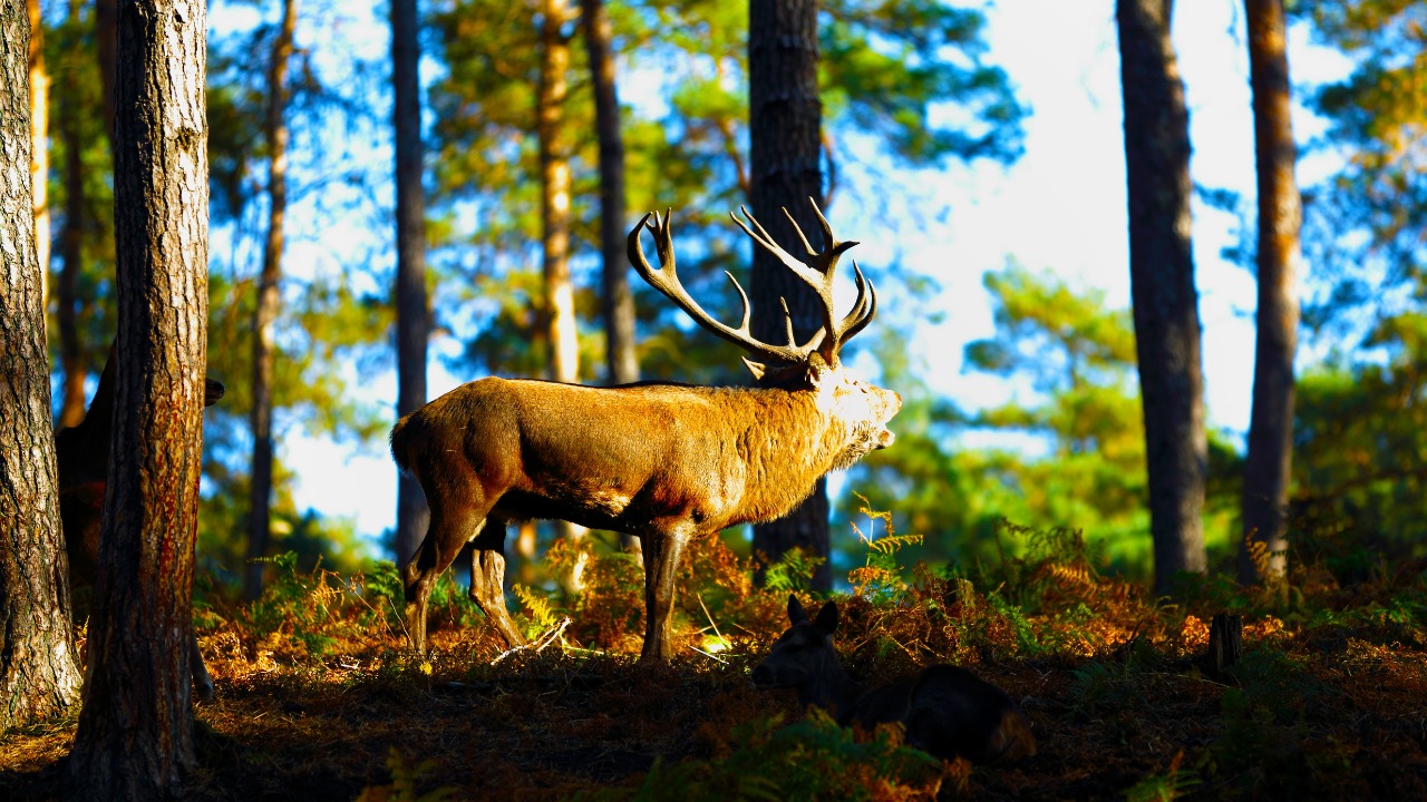 fotokoop/Unsplash