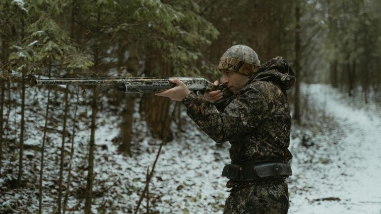 Tima Miroshnichenko/Pexels