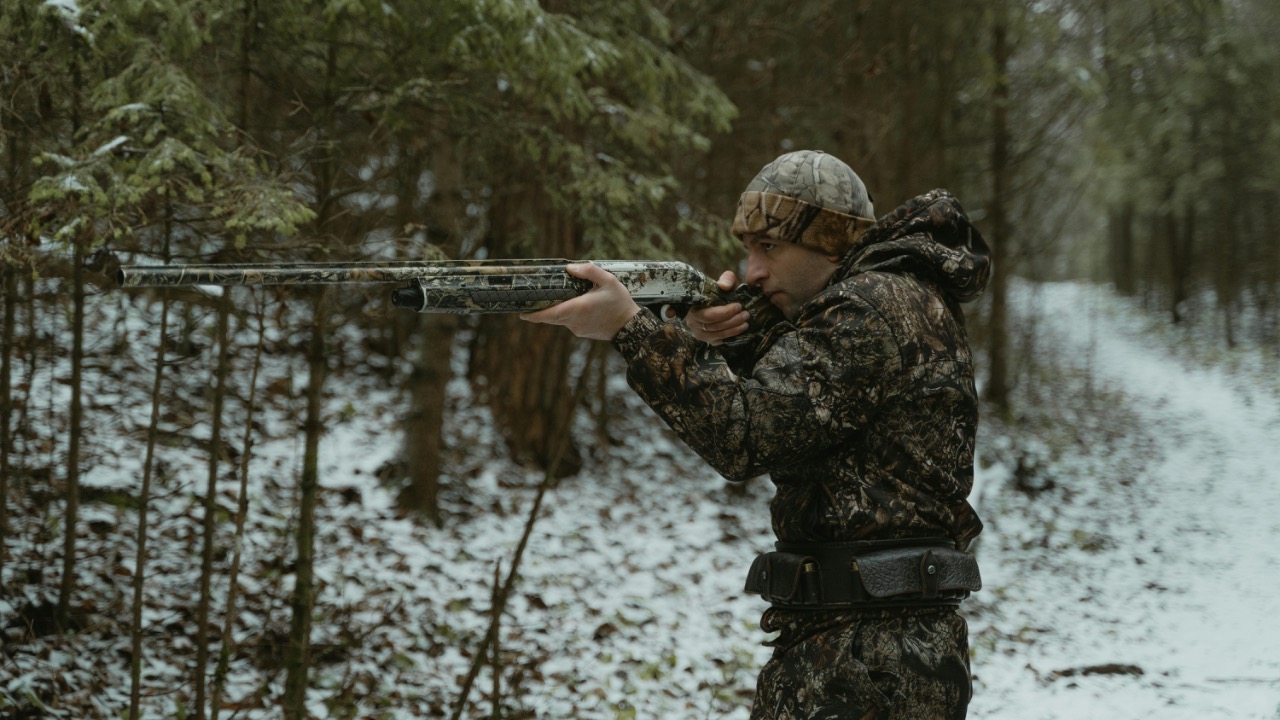 Tima Miroshnichenko/Pexels