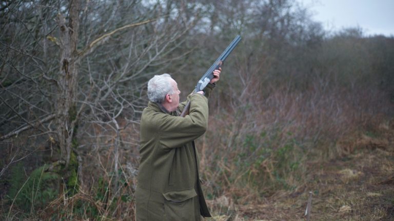 Morgan Marinoni/Pexels