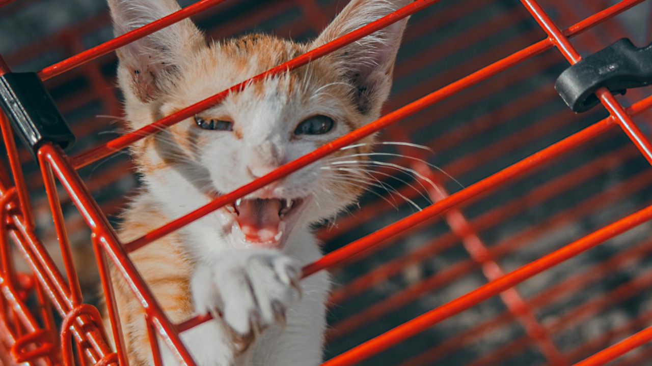 Nothing Ahead/Pexels