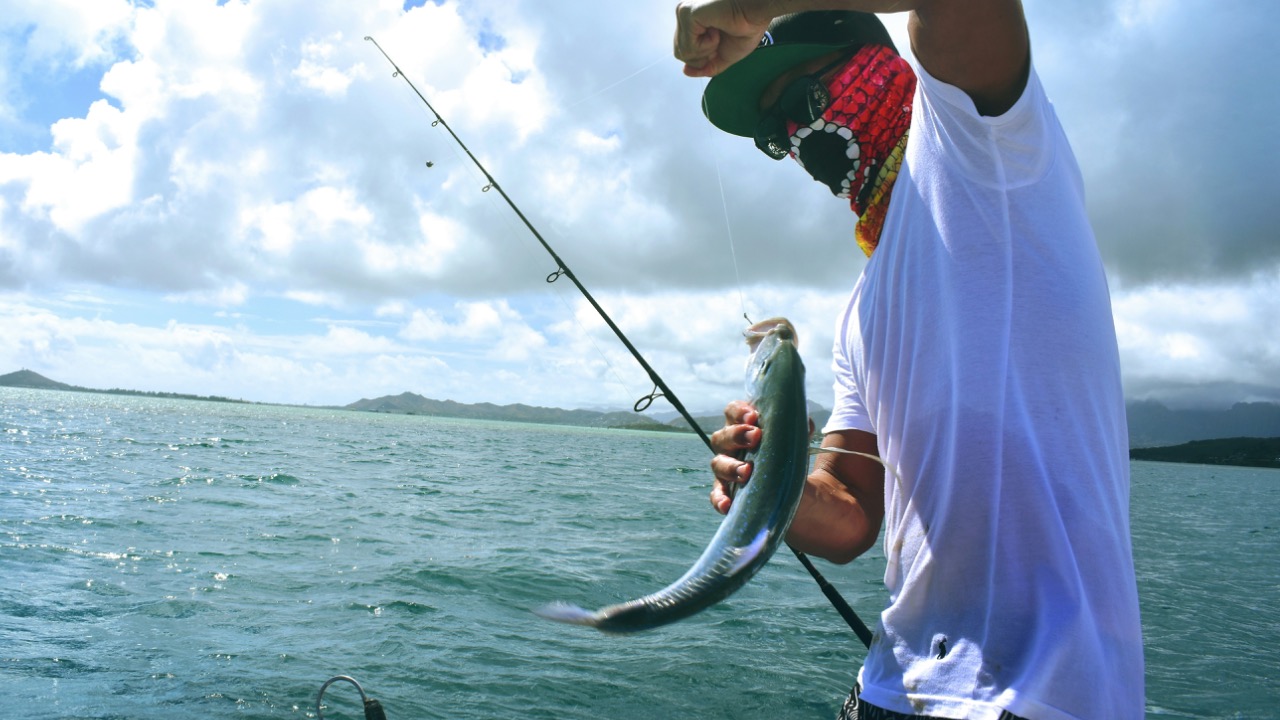 drewfarwell/Unsplash