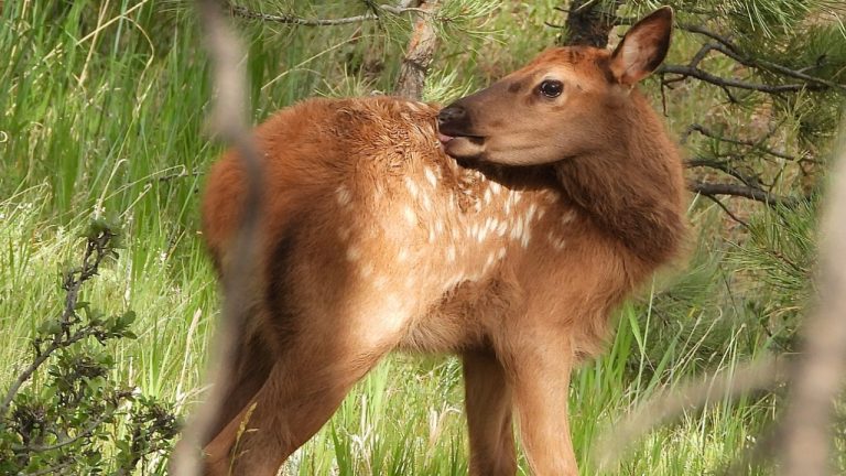 evergreene24/Unsplash