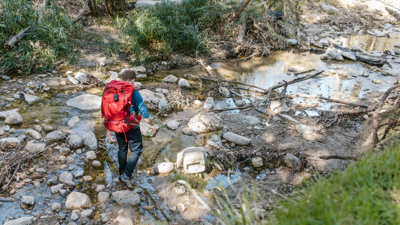 RDNE Stock project/Pexels