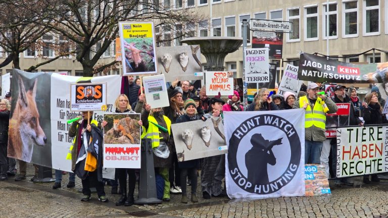 Image Credit: Bernd Schwabe - CC BY-SA 4.0/Wiki Commons