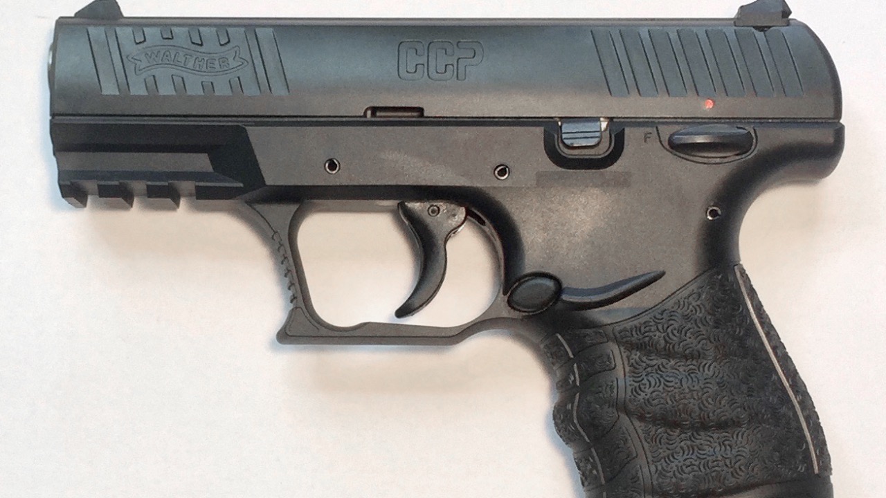 Image Credit: Chris.w.braun - CC BY-SA 4.0/Wiki Commons