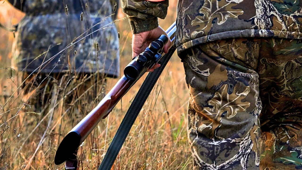 SVshot/ShutterStock.com