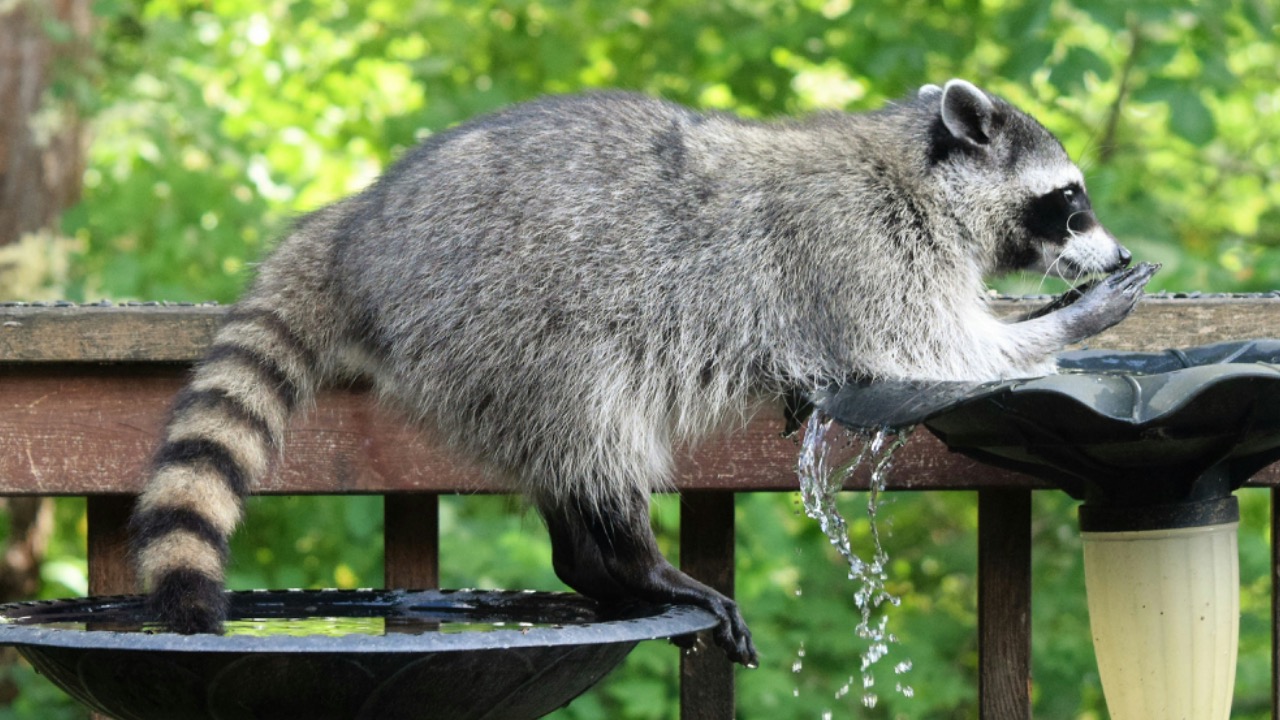 fr0ggy5_fr0ggy5/Unsplash