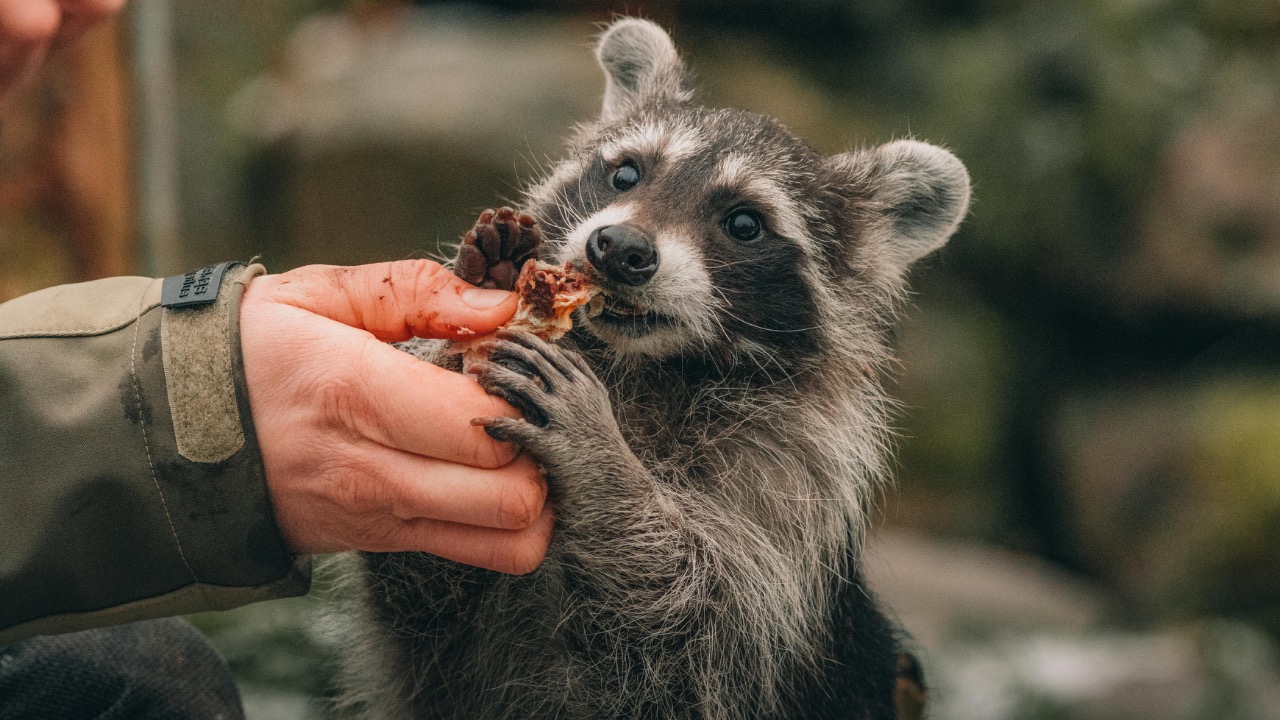 David Selbert/Pexels