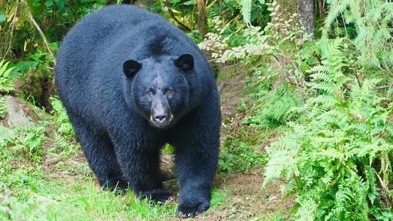 Jennifer Kardiak/Pexels