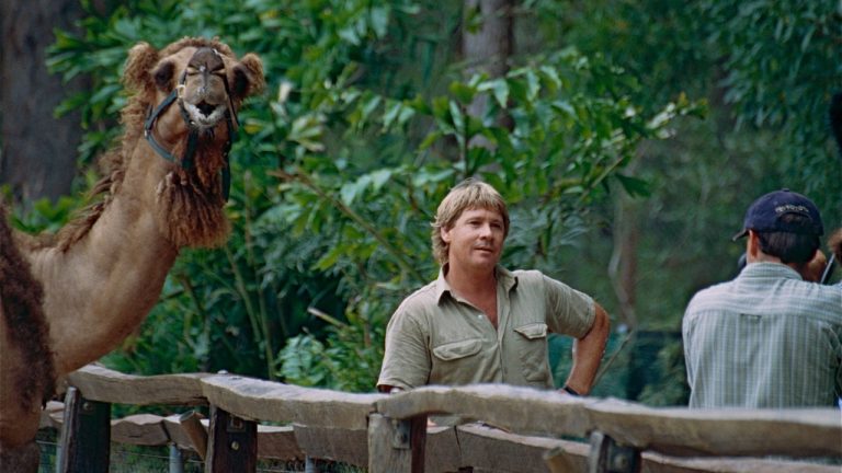 Image Credit: Bernard DUPONT from FRANCE - CC BY-SA 2.0/Wiki Commons