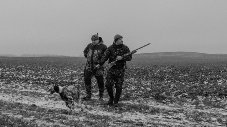 Tima Miroshnichenko/Pexels