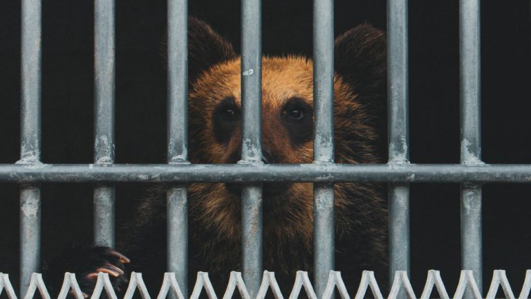 Jim (Jimothy) Natanauan/Pexels