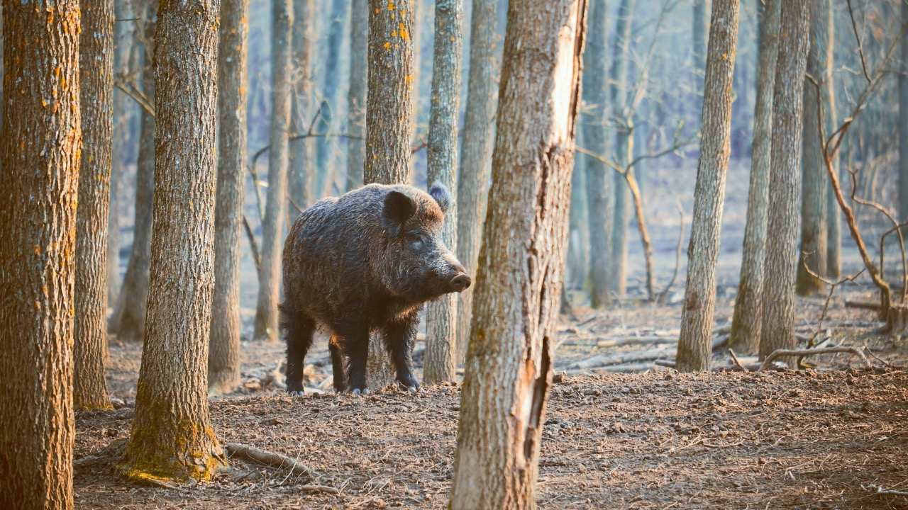 Image by Freepik