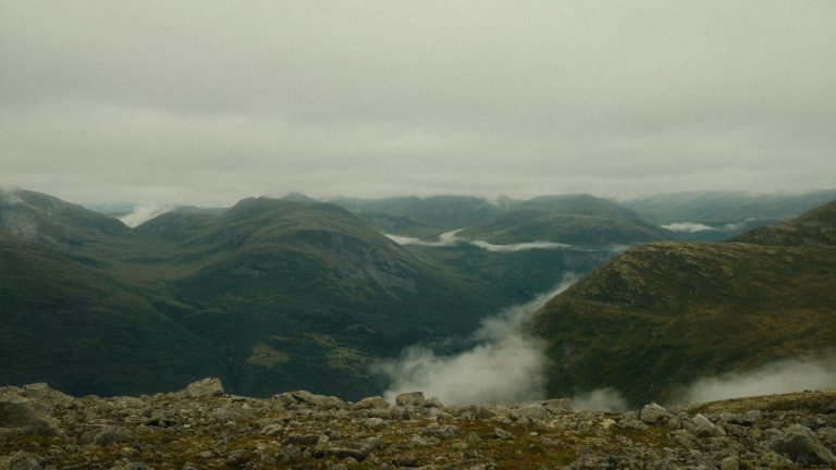 Dua'a Al-Amad/Pexels