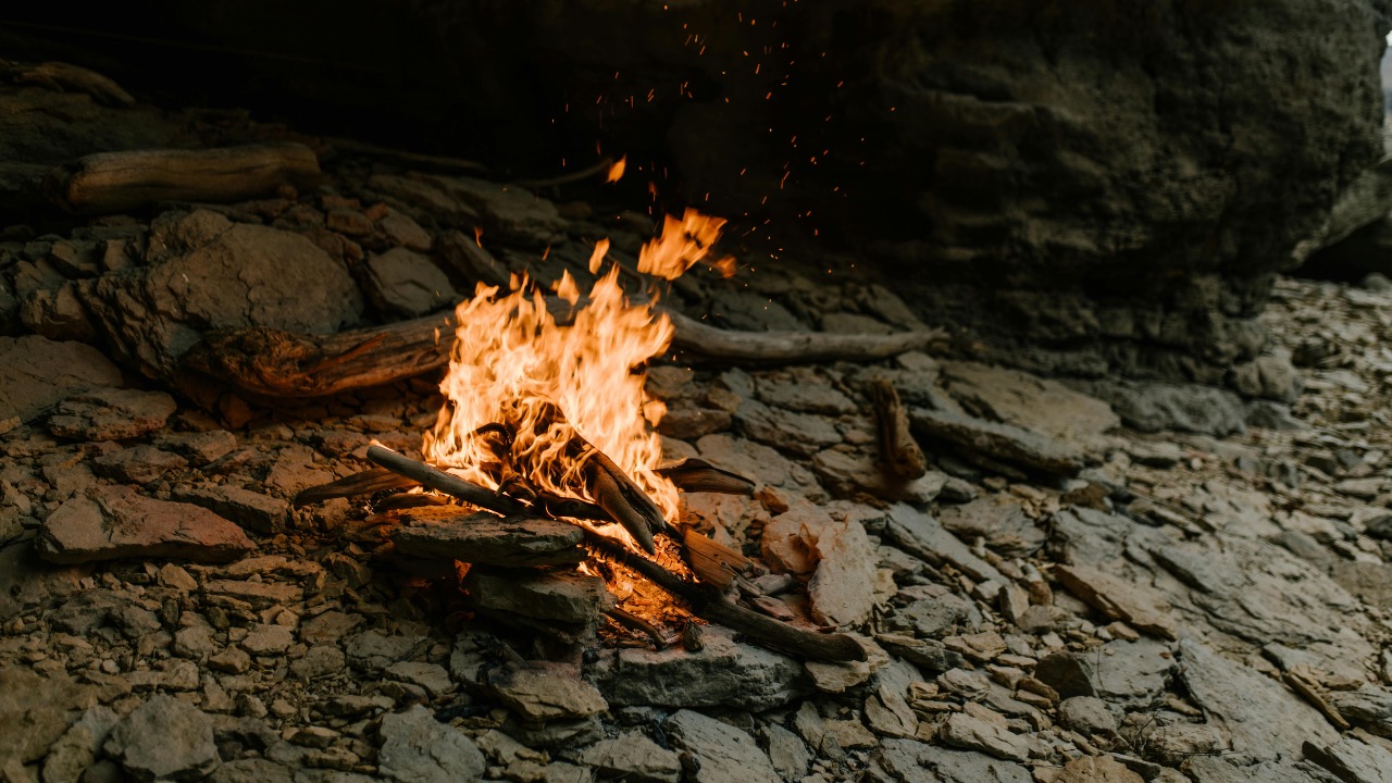 Julia Volk/Pexels