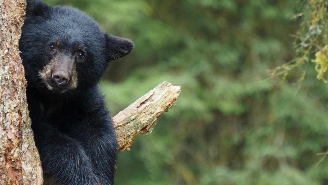 Jennifer Kardiak/Pexels