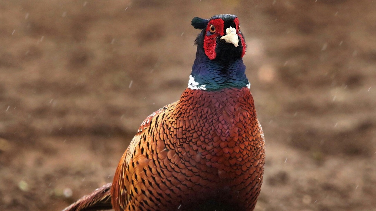 Steffi Wacker/Pexels