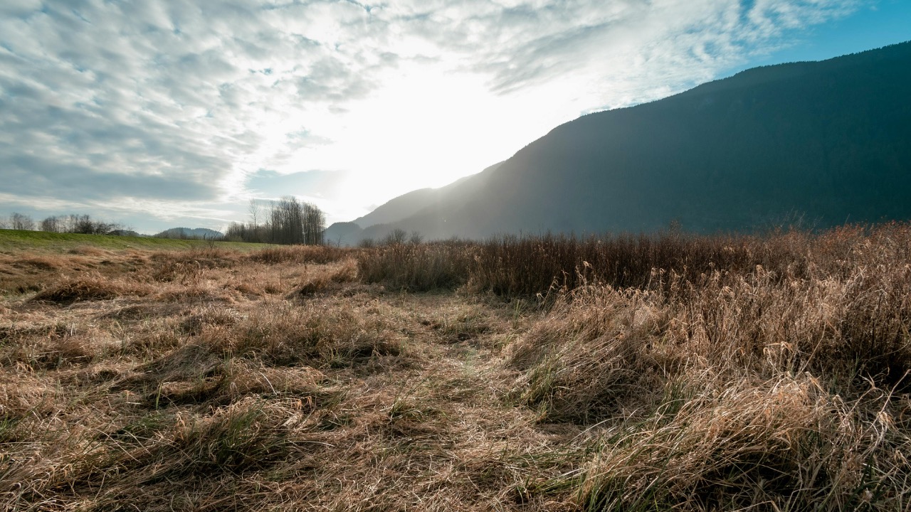 PNW Production/Pexels