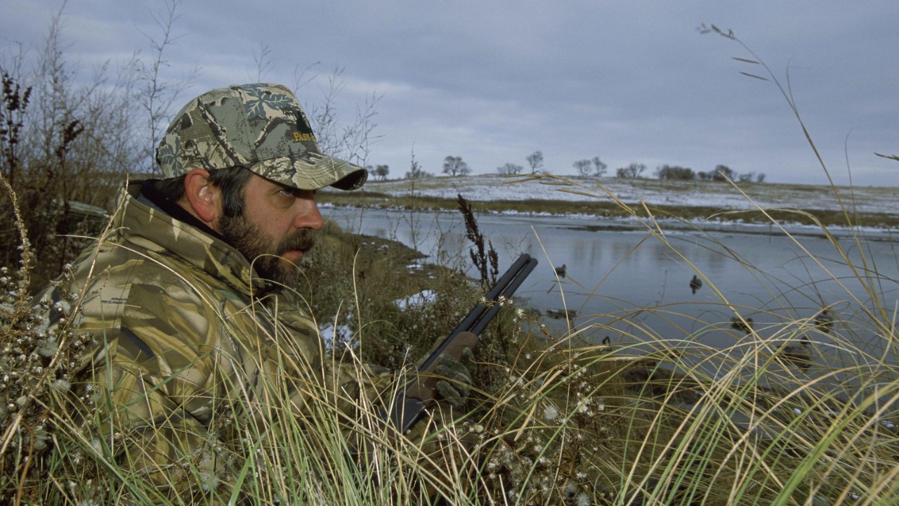 Image Credit: Ryan Hagerty - Public domain/Wiki Commons