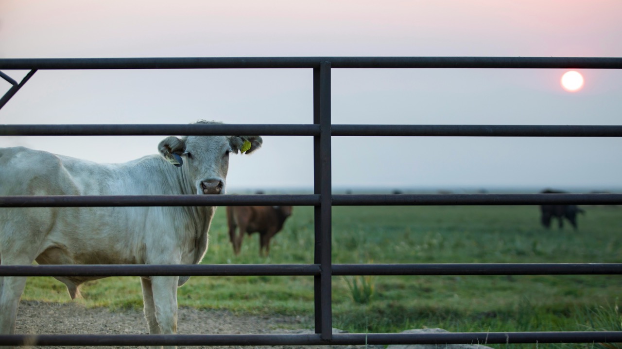 leo_visions_/Unsplash