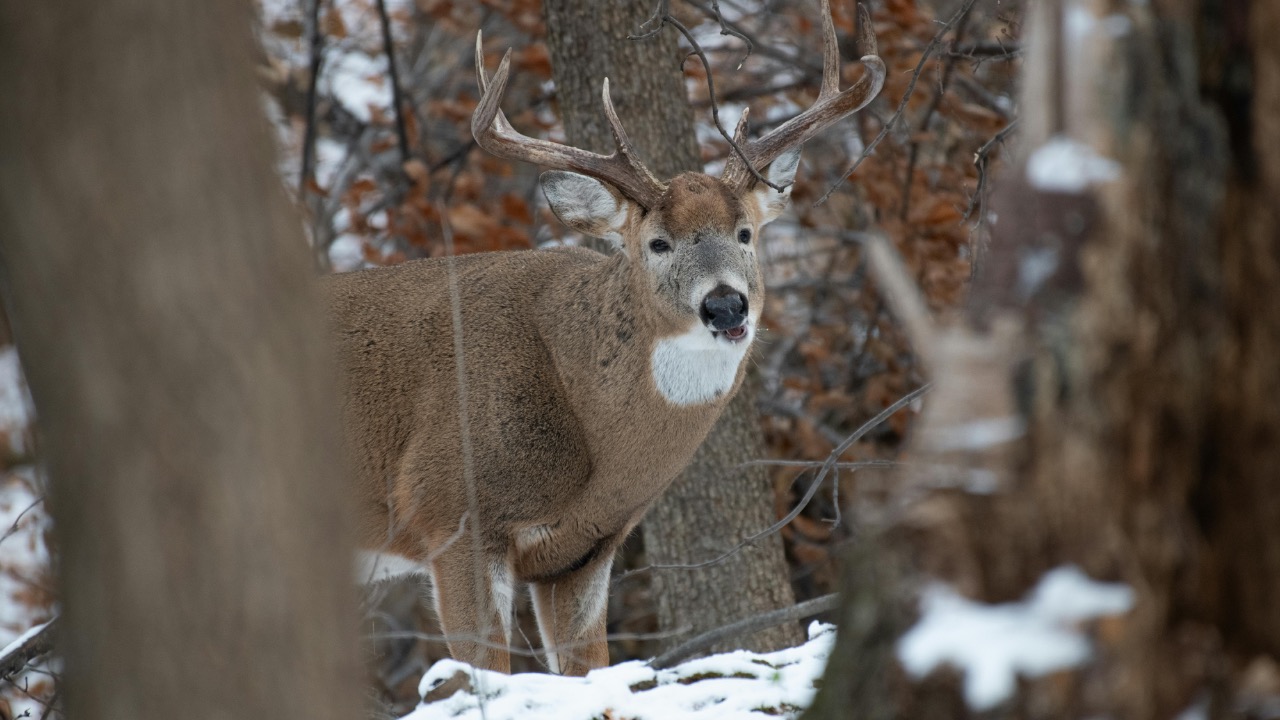 Andrew Patrick Photo/Pexels