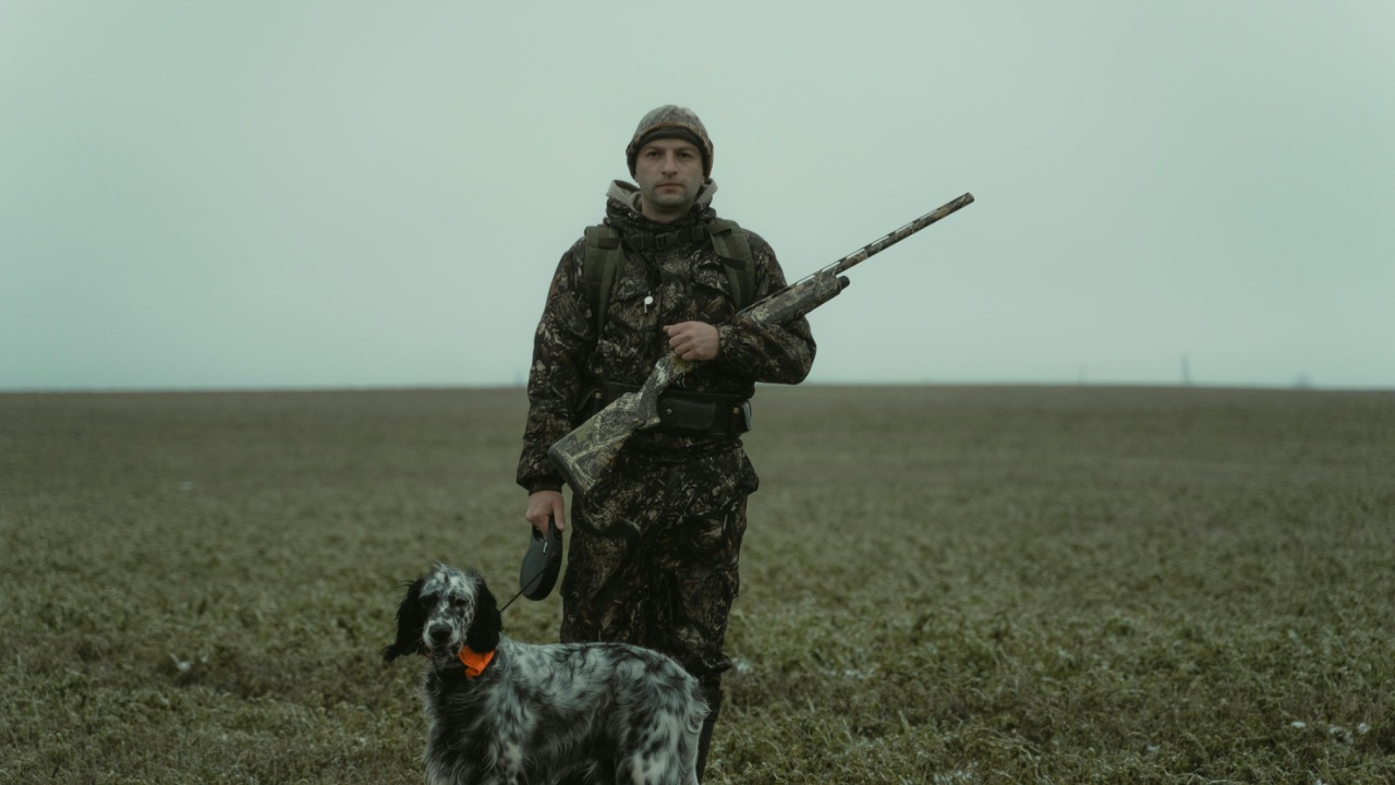 Tima Miroshnichenko/Pexels